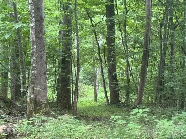 00 Sugar Loaf Mountain Road, Marshall, NC 28753