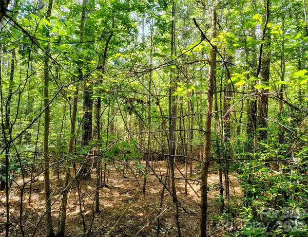 210 Harbor Ridge Drive, Connelly Springs, NC 28612