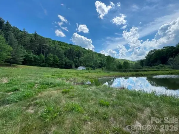 1298 Air Bellows Gap Road, Sparta, NC 28675