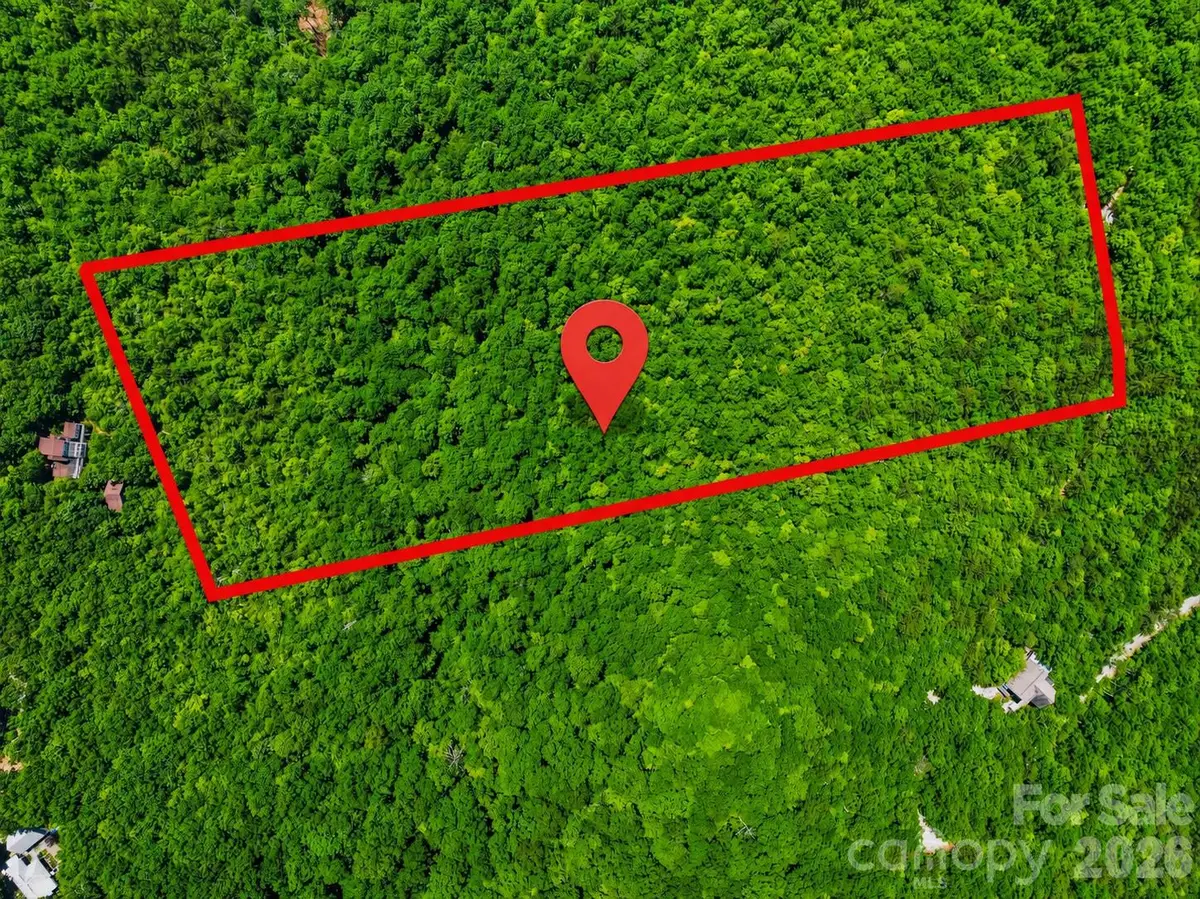999 Miller Cove Road, Black Mountain, NC 28711 - #1