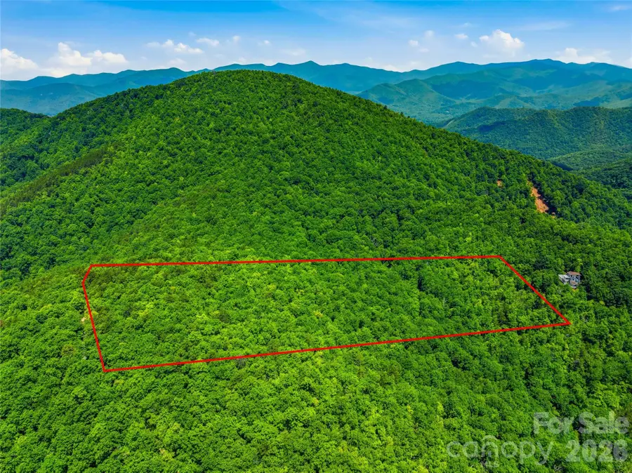999 Miller Cove Road, Black Mountain, NC 28711 - #2