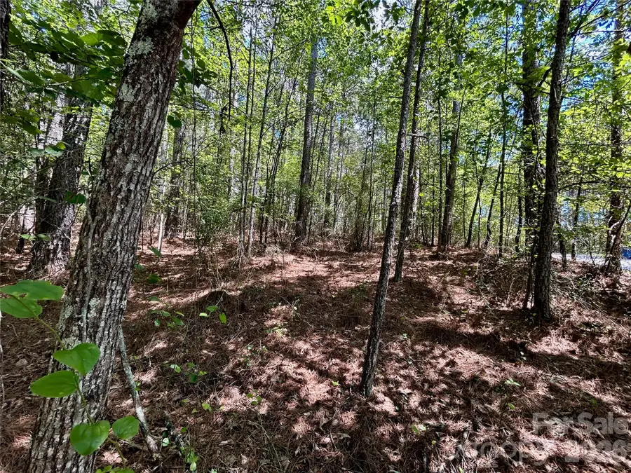 1074 W Hidden Cove Lane, Connelly Springs, NC 28612 - #2