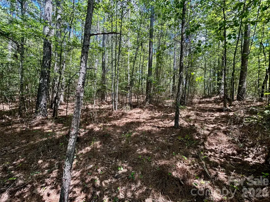 1074 W Hidden Cove Lane, Connelly Springs, NC 28612 - #3