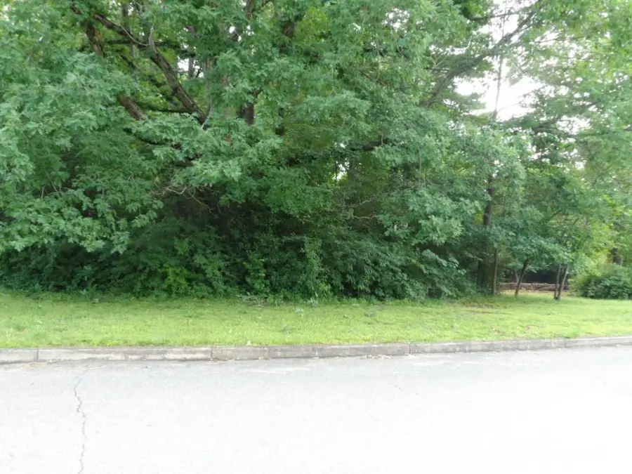 0 Oakwood Street, Morganton, NC 28655 - #3