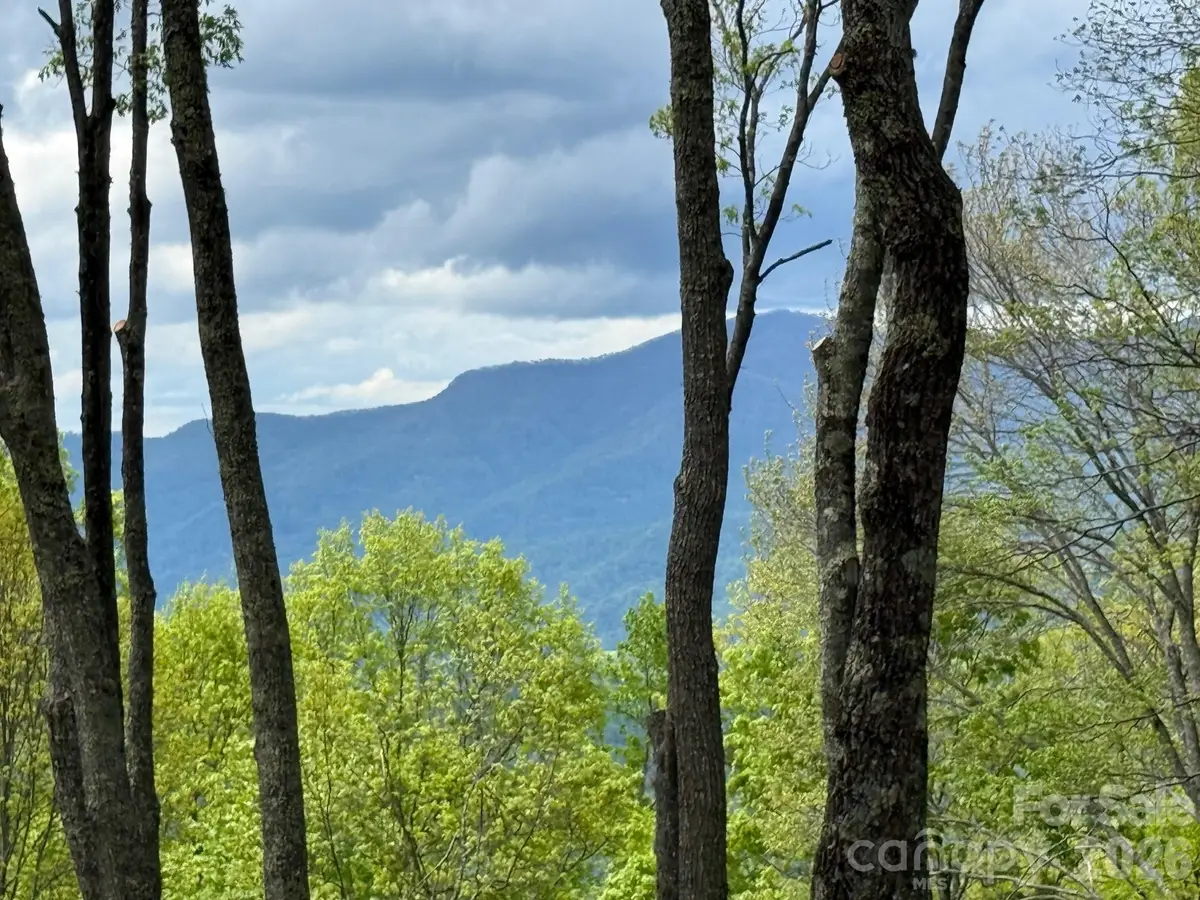 1817 E Reach Road #216, Sylva, NC 28779 - #1