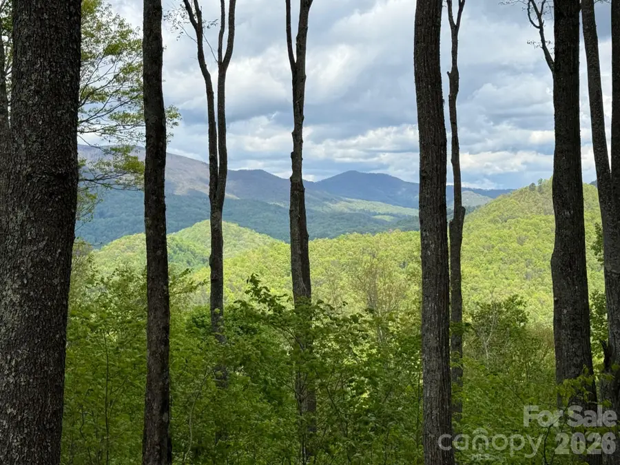 1817 E Reach Road #216, Sylva, NC 28779 - #3