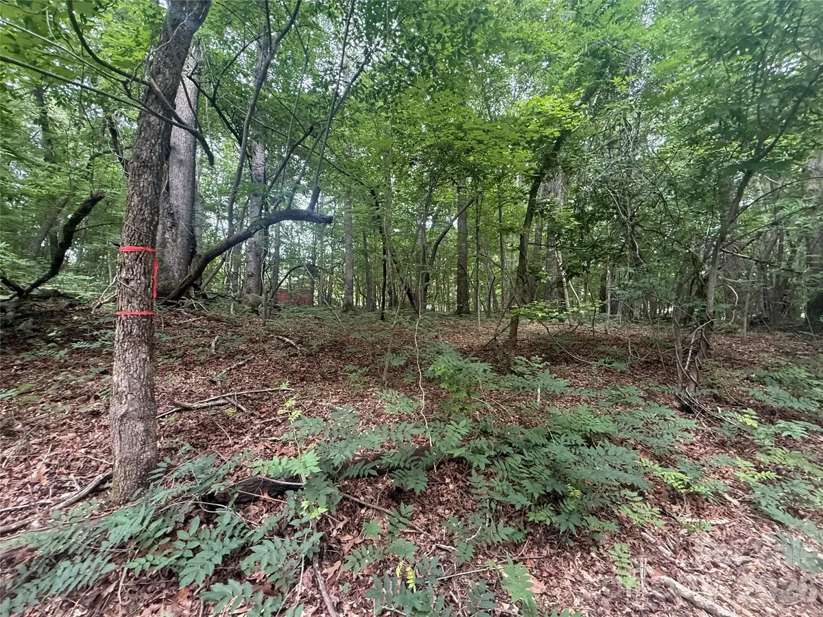 0000 S Lineberry Street, Troy, NC 27371 - #1