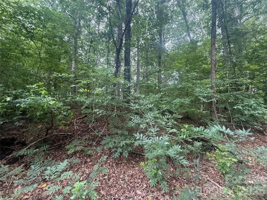 0000 S Lineberry Street, Troy, NC 27371 - #2