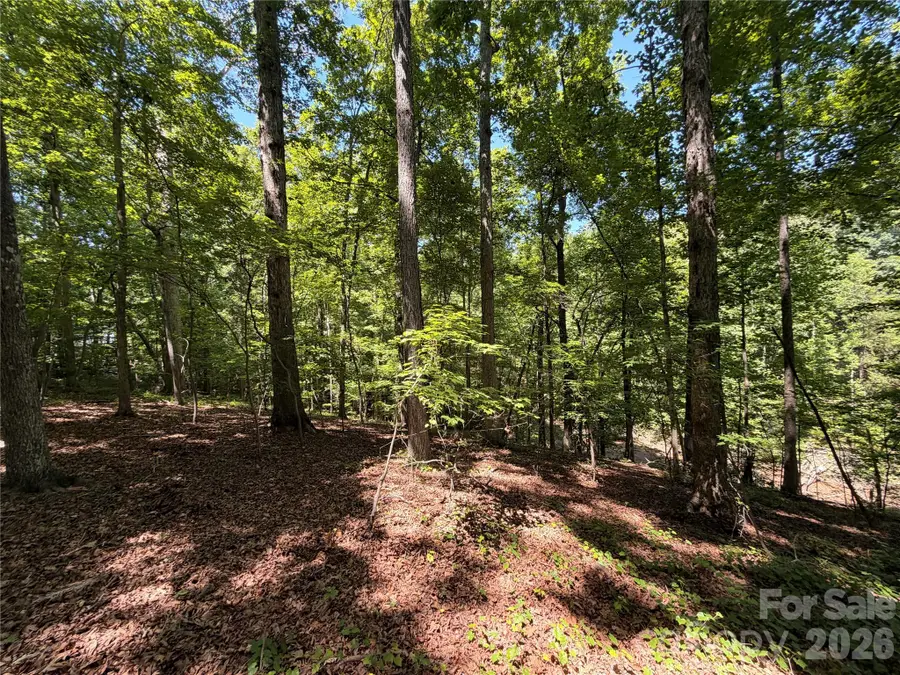Lots 14,15,16 Trollingwood Lane, Mooresville, NC 28117 - #2