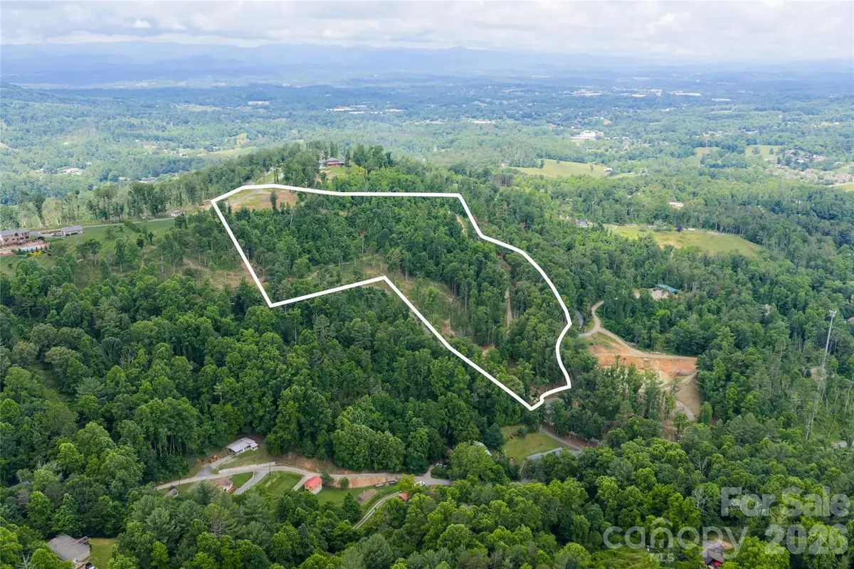 99999 Bear View Road, Weaverville, NC 28787 - #1