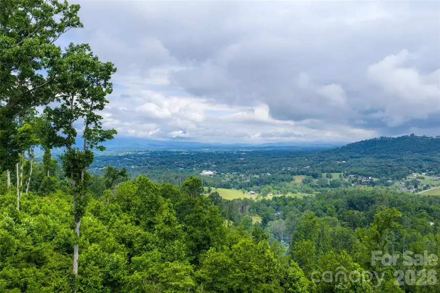 99999 Bear View Road, Weaverville, NC 28787 - #2