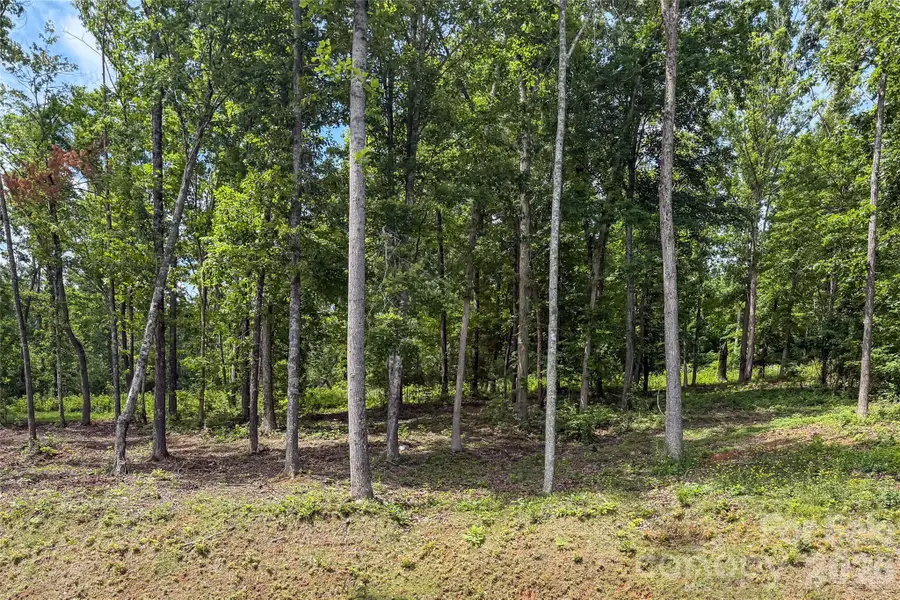 99999 Bear View Road, Weaverville, NC 28787 - #3