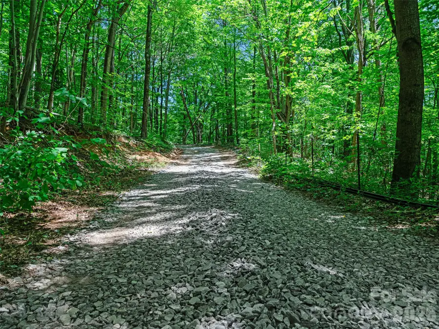 9999 Lovebird Lane #20, Candler, NC 28715 - #2