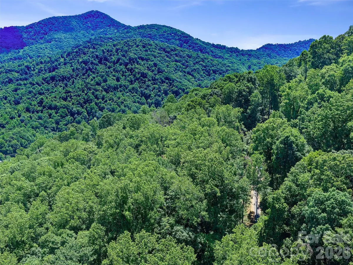 9999 Lovebird Lane #23, Candler, NC 28715 - #1