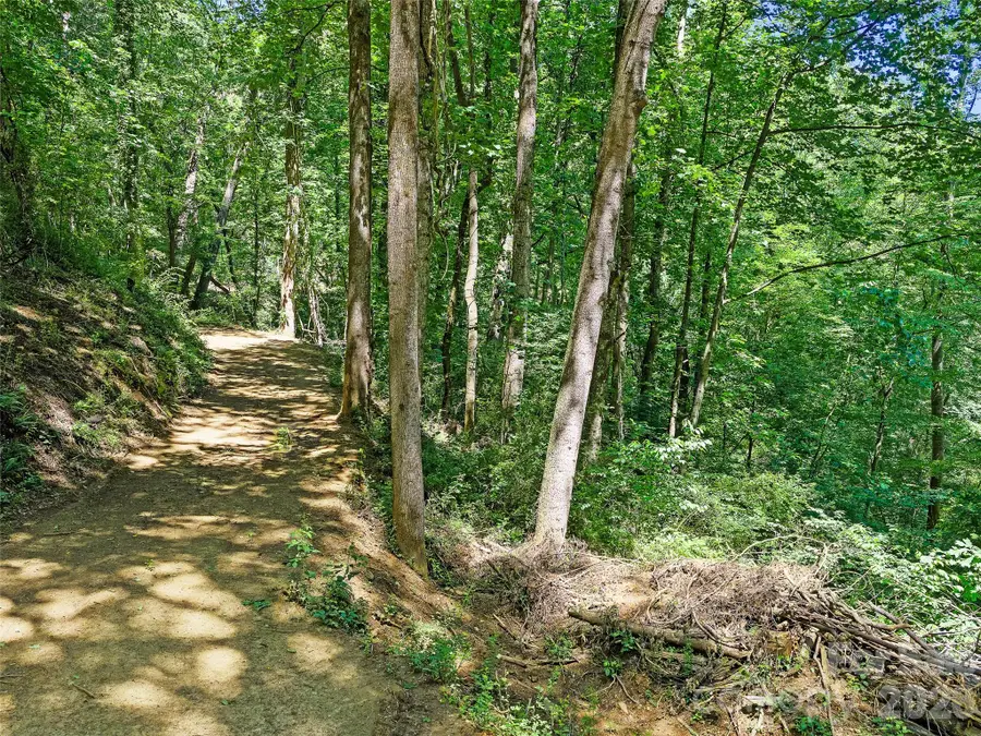 9999 Lovebird Lane #23, Candler, NC 28715 - #2