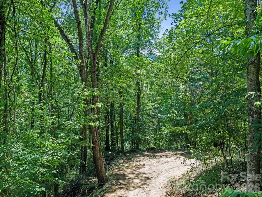9999 Lovebird Lane #19, Candler, NC 28715 - #3