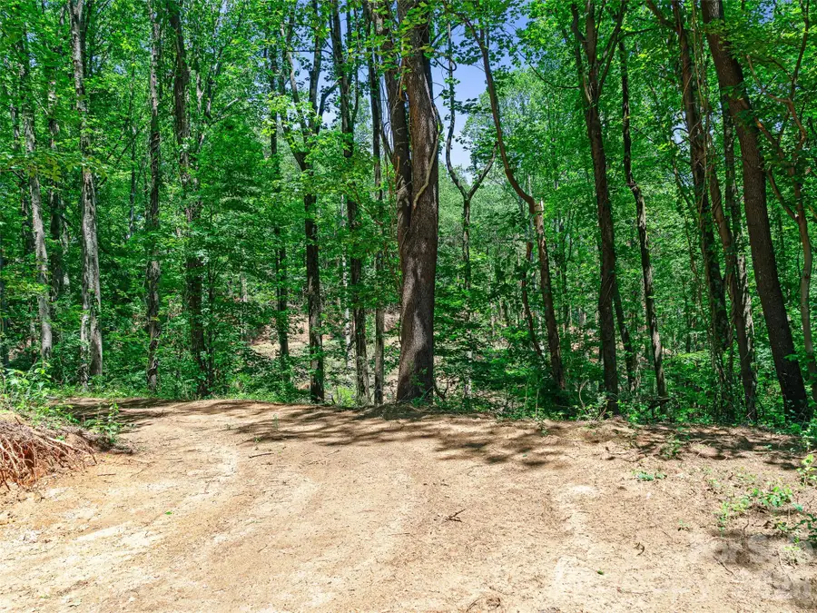 9999 Lovebird Lane #17, Candler, NC 28715 - #3