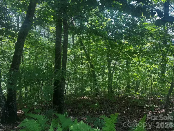 0 South Drive, Lake Lure, NC 28746