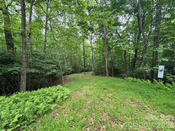 000 Chestnut Oak Lane, Pisgah Forest, NC 28768