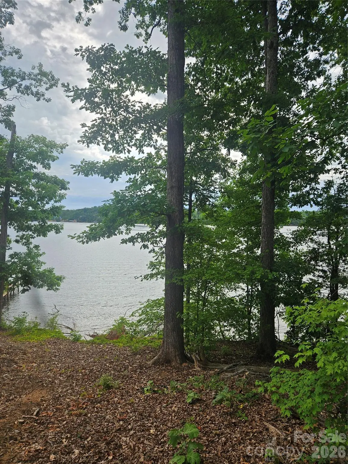 Lot 105 Edgewater Drive #105, Norwood, NC 28128 - #1