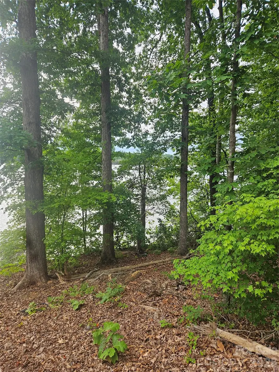 Lot 105 Edgewater Drive #105, Norwood, NC 28128 - #2