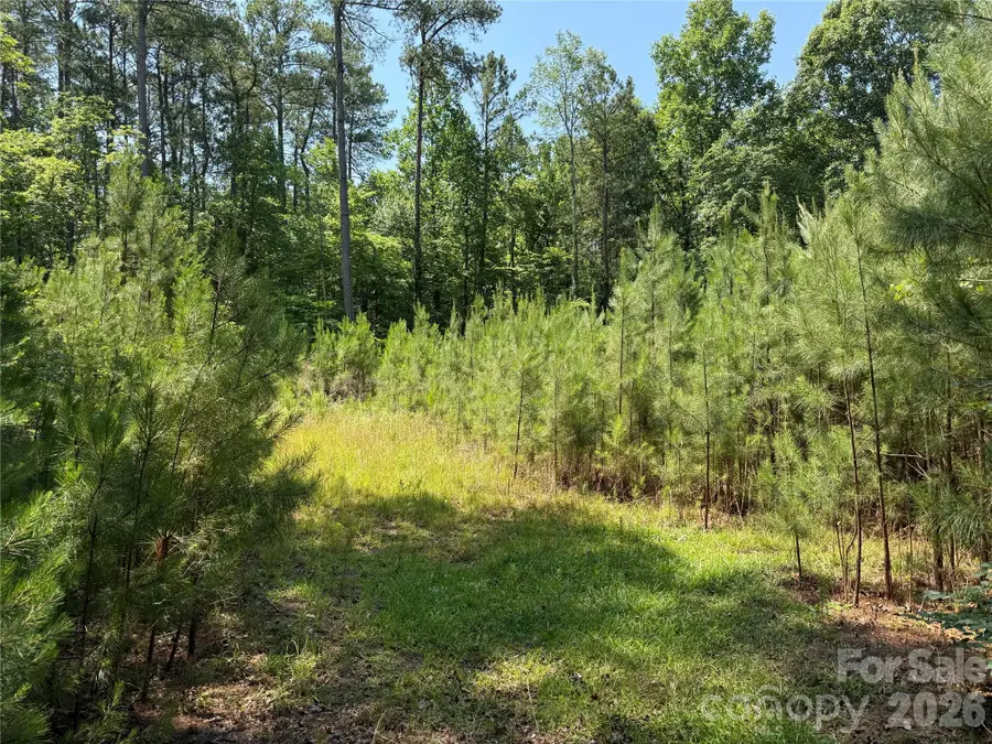 206 Corry Lane, Bostic, NC 28018 - #2
