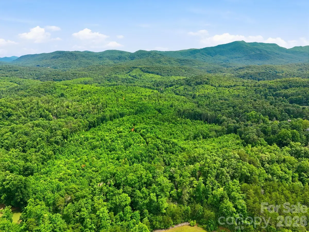 2301 Parker Padgett Road, Old Fort, NC 28762 - #1