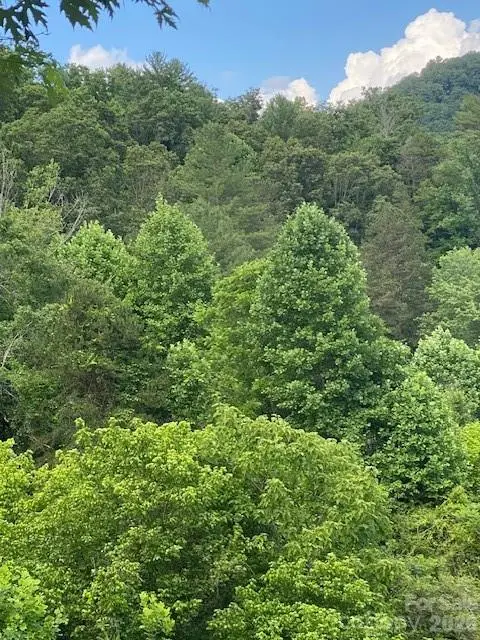 000 East Fork Road, Marshall, NC 28753 - #1