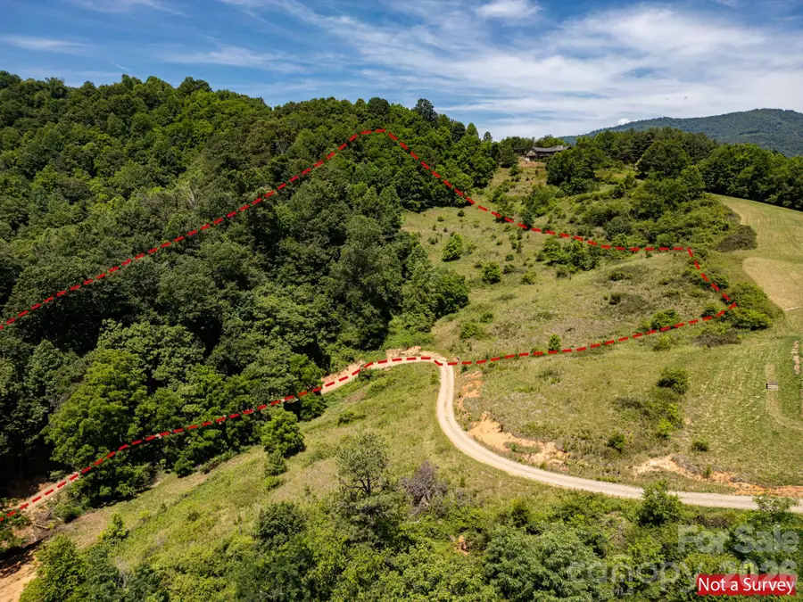 999 Murphy Cove Road, Candler, NC 28715 - #2