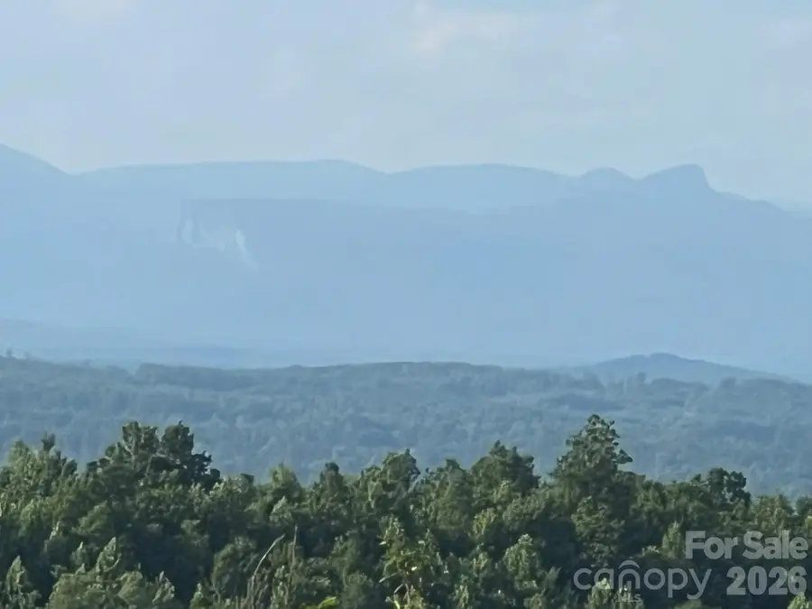 253 Falls Creek Drive, Nebo, NC 28761 - #2