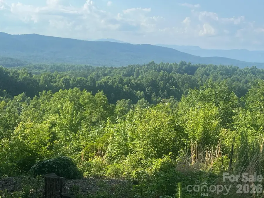 253 Falls Creek Drive, Nebo, NC 28761 - #3