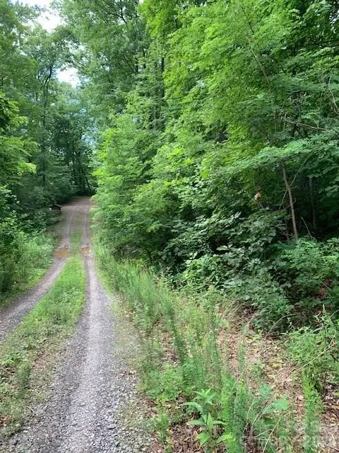 tbd Whitewater Cove, Montreat, NC 28757 - #2