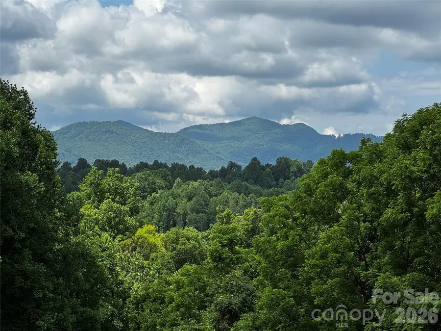 1327 Nc 80 Highway, Bakersville, NC 28705 - #2