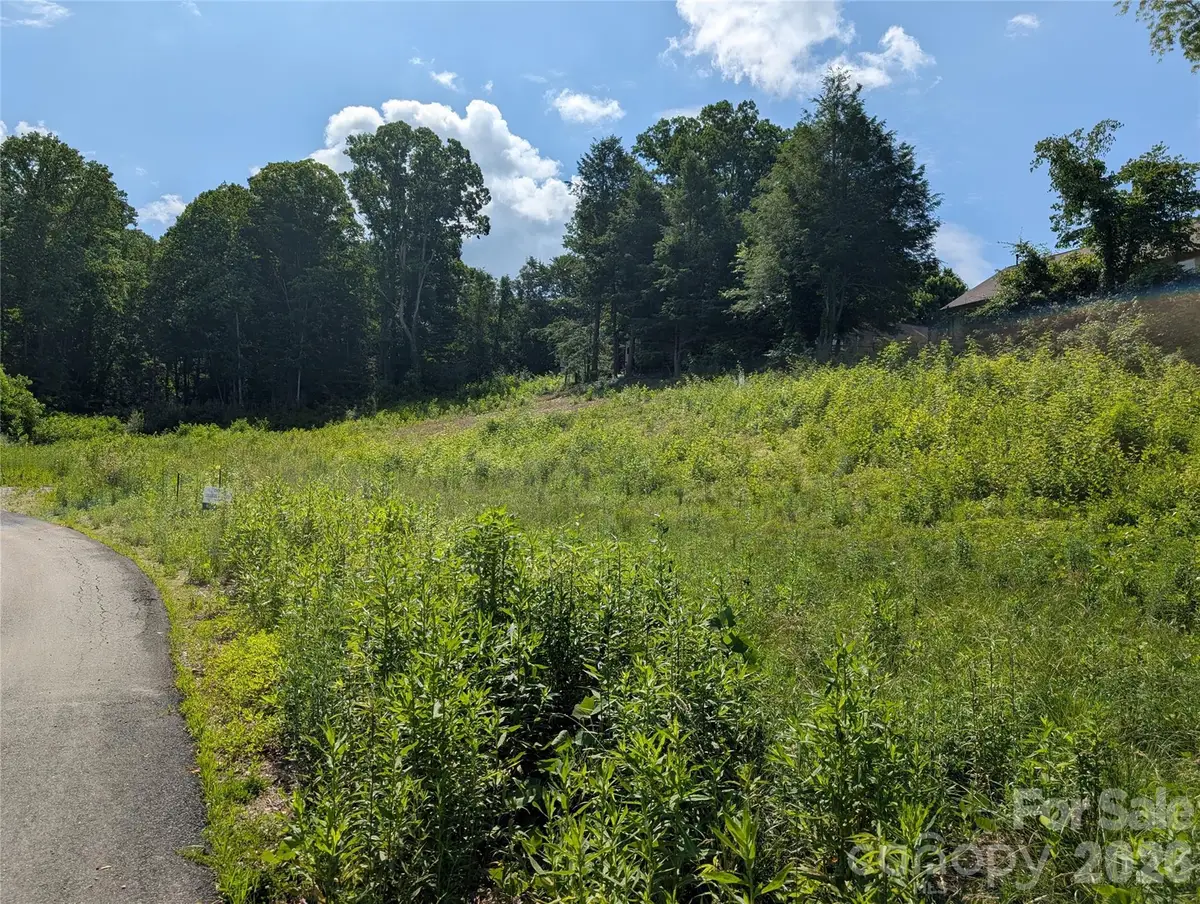 119 Randolph Avenue, Black Mountain, NC 28711 - #1