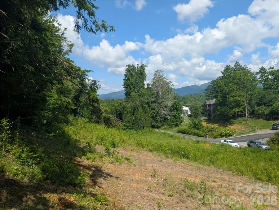 119 Randolph Avenue, Black Mountain, NC 28711 - #2