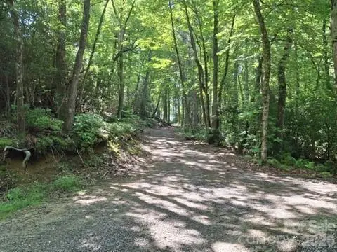 630 Shumont Road, Black Mountain, NC 28711 - #2