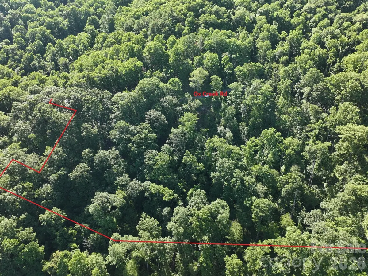 TBD Ox Creek Road, Weaverville, NC 28787 - #1
