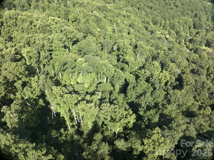 TBD Ox Creek Road, Weaverville, NC 28787 - #2