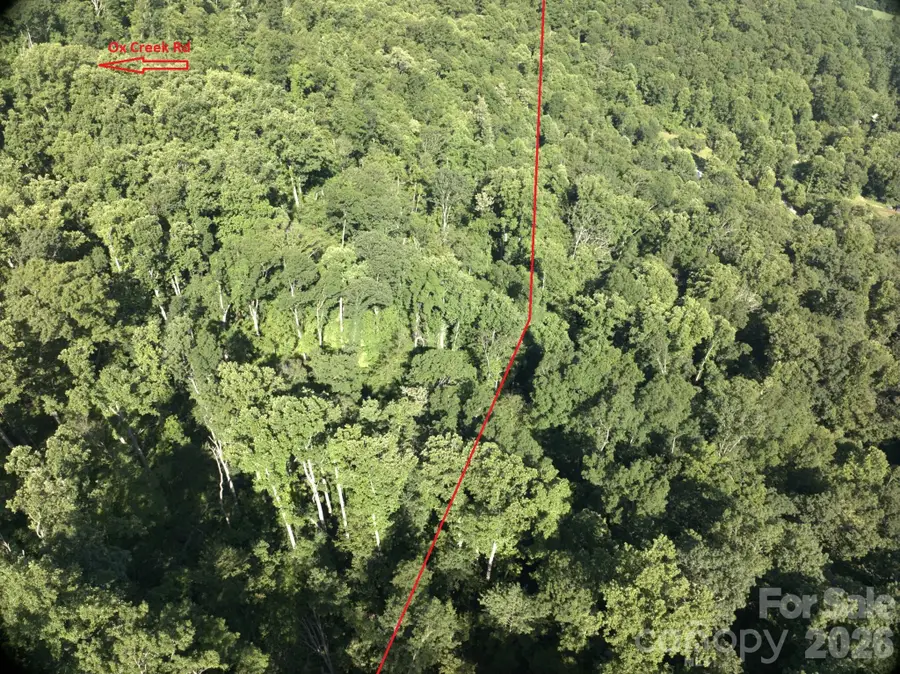 TBD Ox Creek Road, Weaverville, NC 28787 - #3