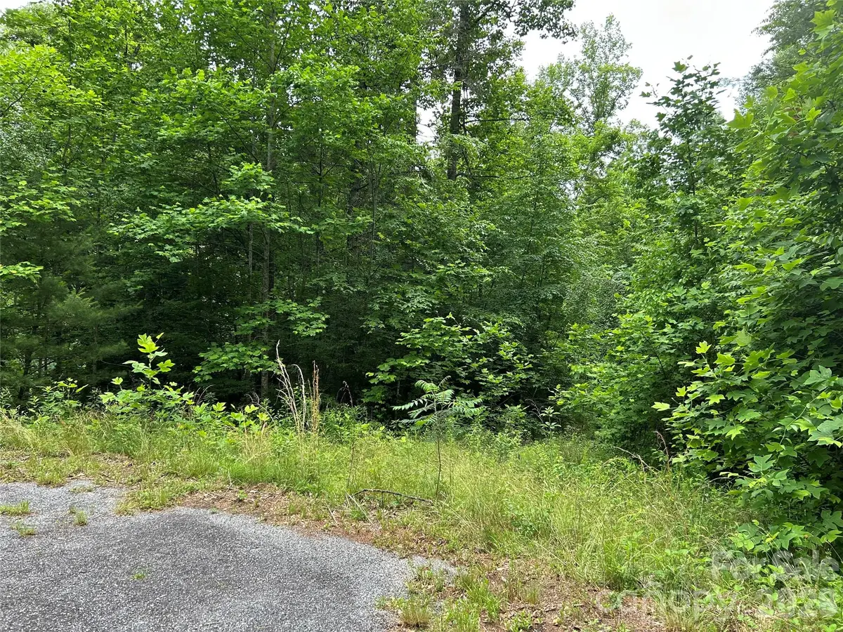 0 Silverstone Drive #16 & 17, Hendersonville, NC 28792 - #1