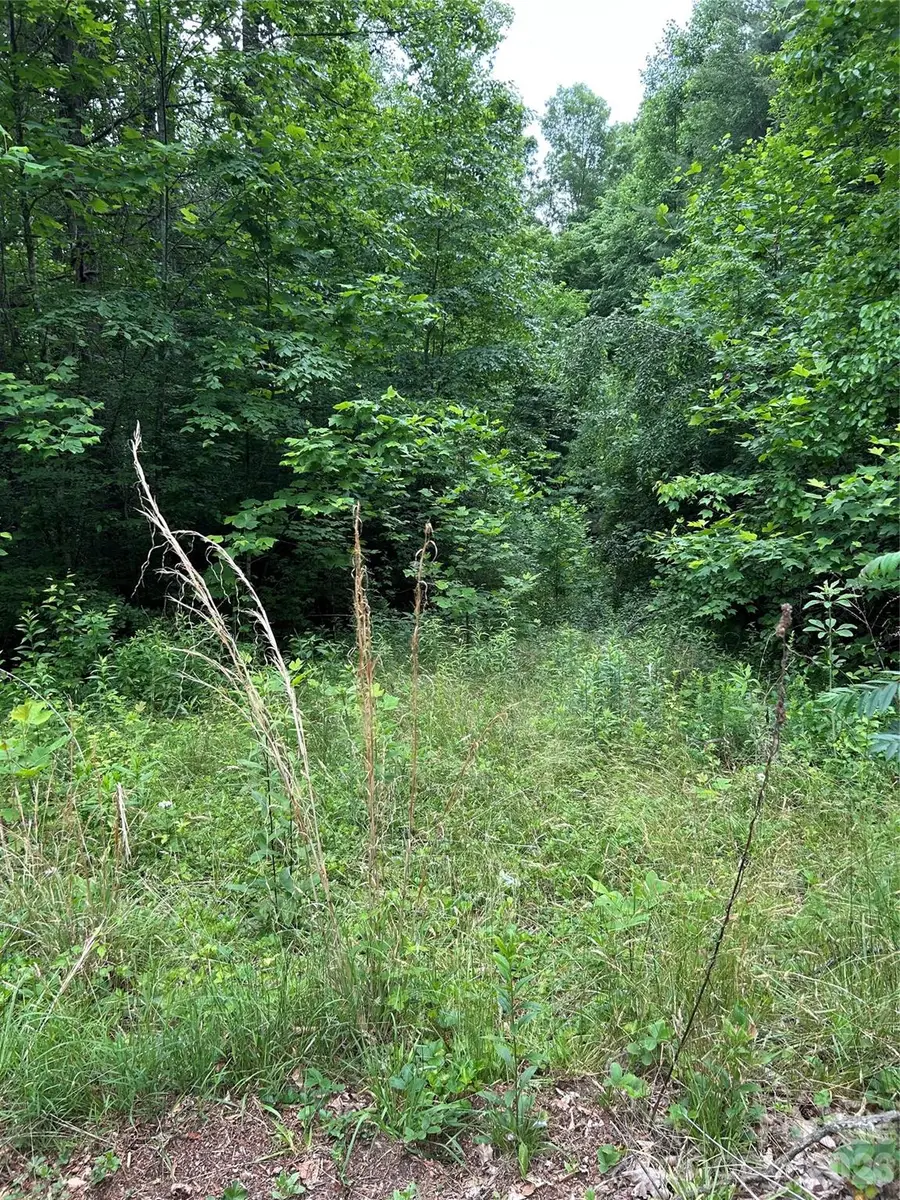0 Silverstone Drive #16 & 17, Hendersonville, NC 28792 - #3