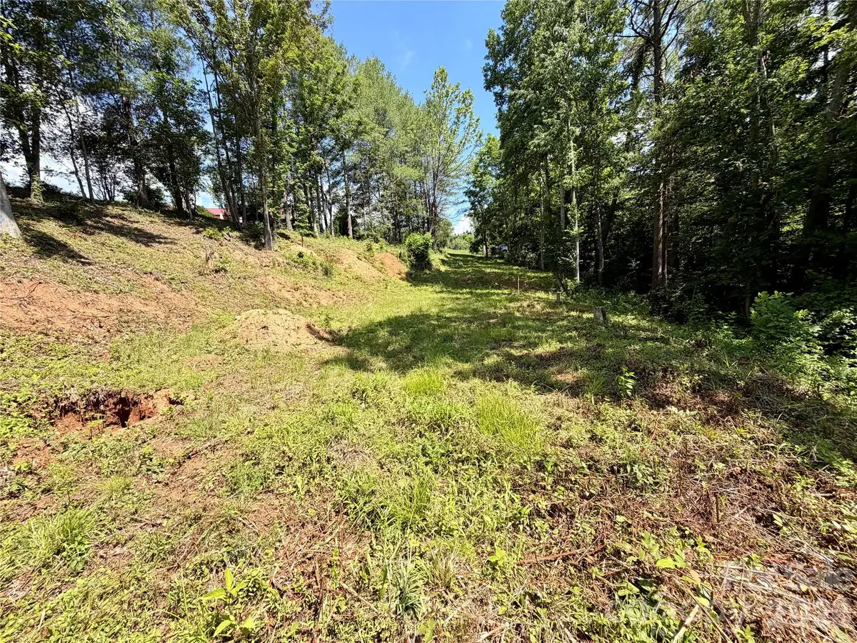 12 Willow Knoll Drive, Weaverville, NC 28787 - #1