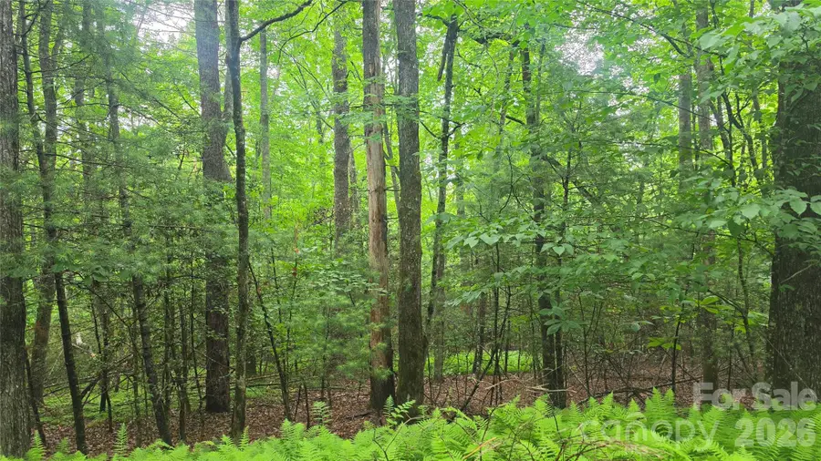 TBD Wingfield Way, Brevard, NC 28712 - #2