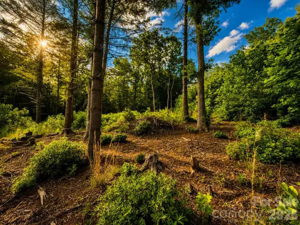 201 Cross Creek North Ridge Drive #46, Marion, NC 28752