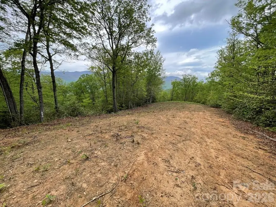 700 Copperhead Cove, Sylva, NC 28779 - #2
