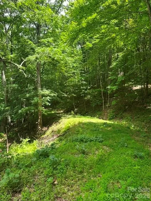 TBD Mountain Home Road #2, Elk Park, NC 28622 - #1