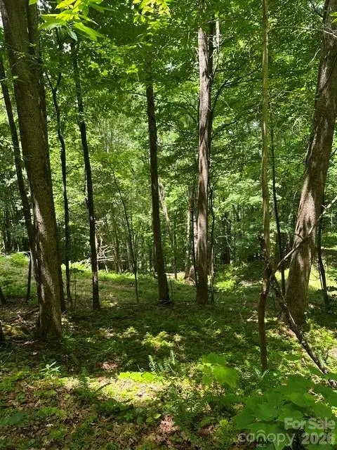 TBD Mountain Home Road #2, Elk Park, NC 28622 - #2
