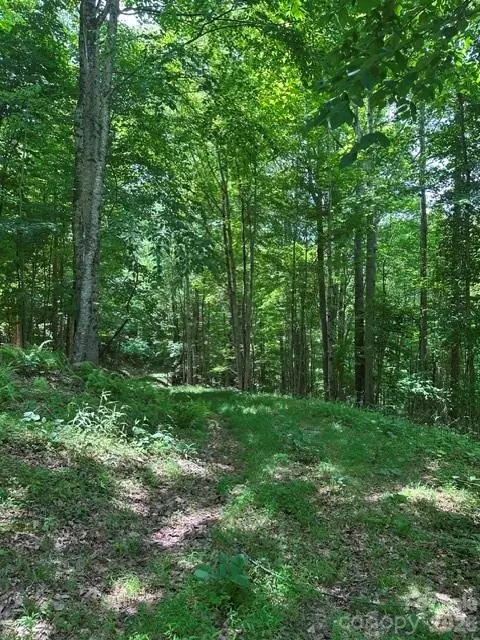 TBD Mountain Home Road #2, Elk Park, NC 28622 - #3