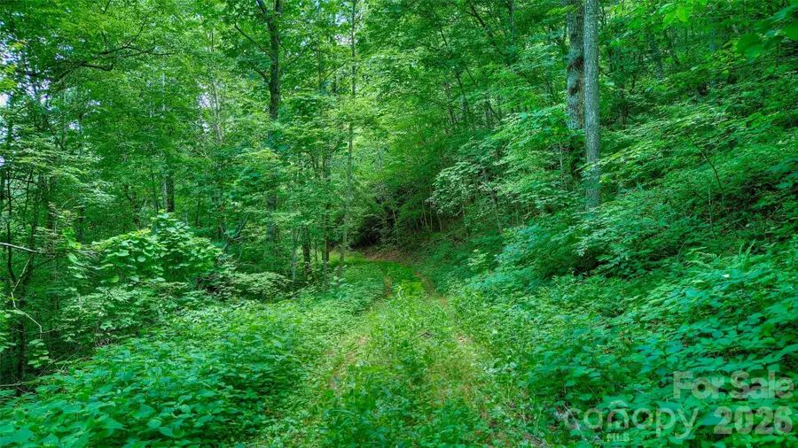 00 Arrowhead Ridge Road, Spruce Pine, NC 28777 - #3