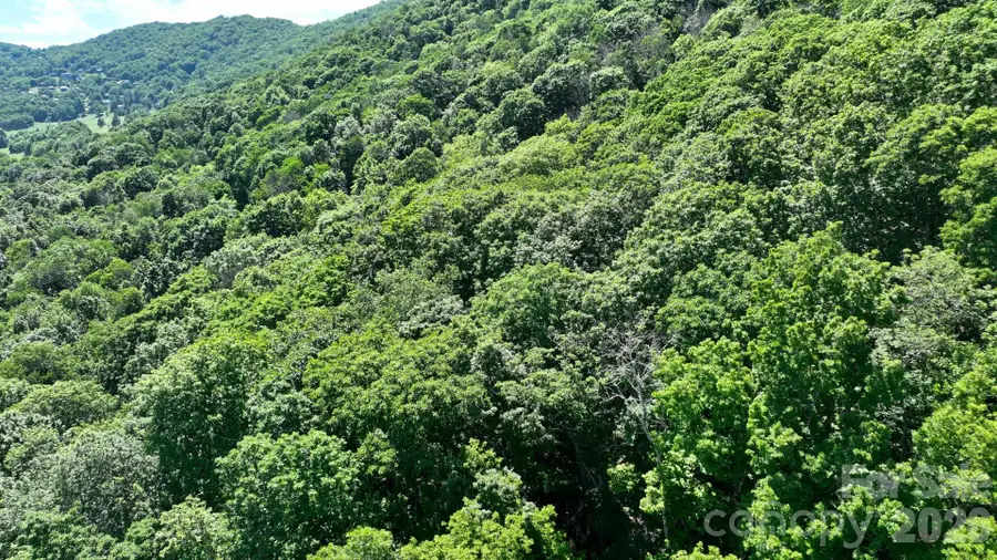 TBD Greencove Drive, Seven Devils, NC 28604 - #2